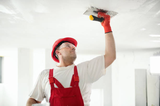 Professional Dry wall and painting in Levittown, NY